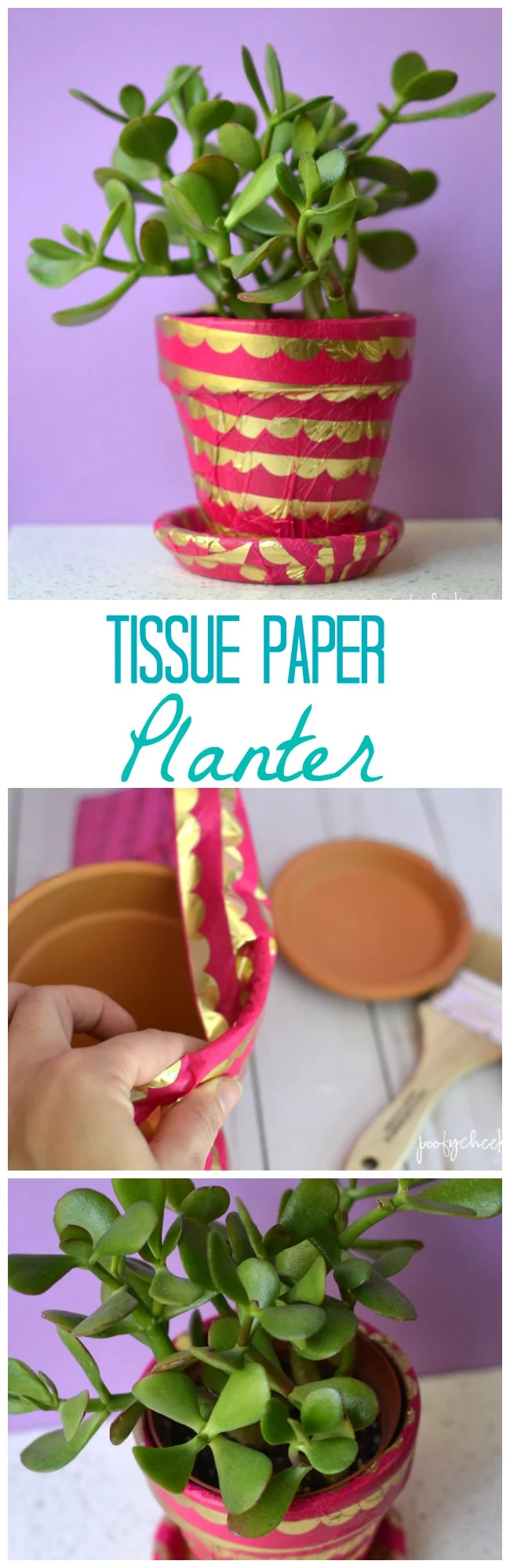 tissue paper planter