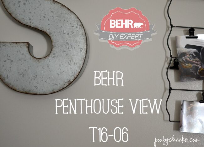 BEHR Penthouse VIew T16-06 // A Greige Color from the 2016 Color Trend