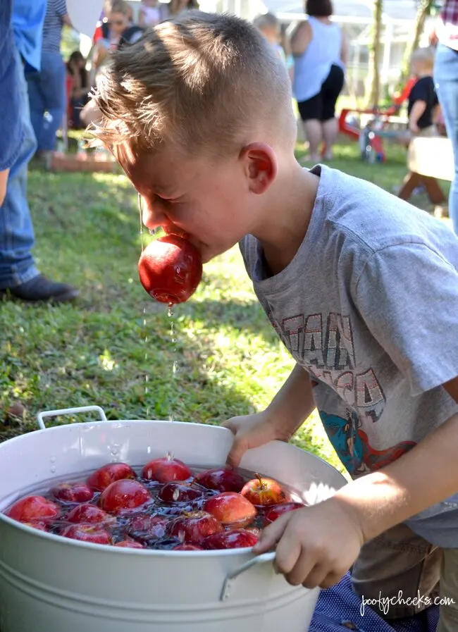 Great backyard County Fair birthday party. Lots of great pictures and ideas.