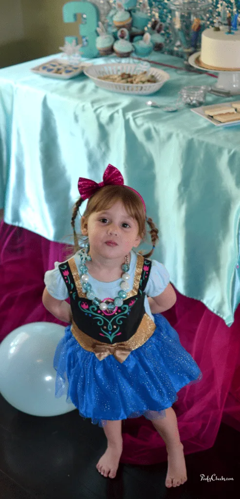 Frozen Themed 3rd Birthday Party