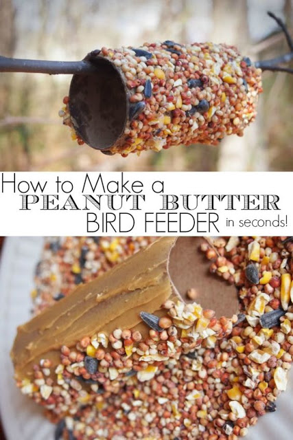 http://gogrowgo.com/how-to-make-peanut-butter-bird-feeder