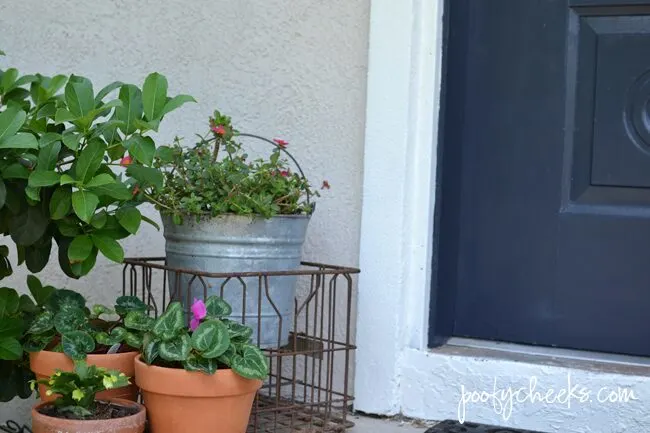 Painted Front Door Before and After - BEHR Poppy Seed