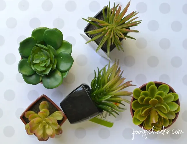 Craft a Wreath with Fake Succulent Plants for Spring and Summer