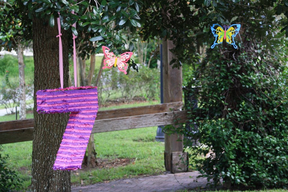 Birthday Party Piñata