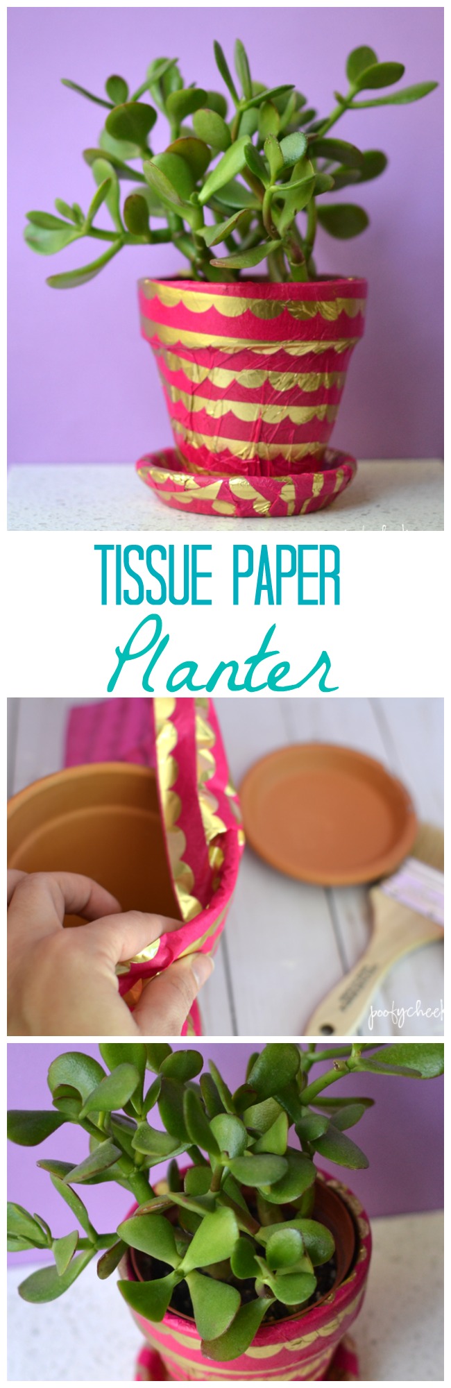 tissue paper planter