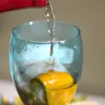 Citrus Sangria Recipe