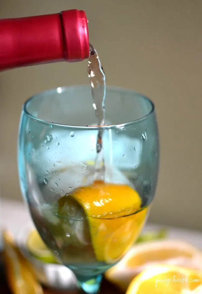 Citrus Sangria Recipe