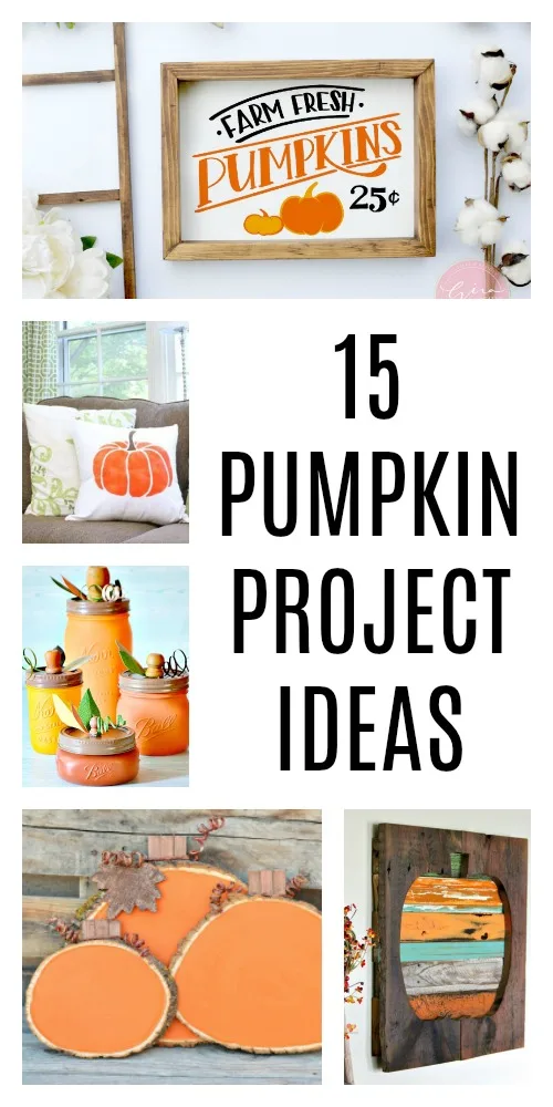 15 Pumpkin Project Ideas from Poofycheeks.com