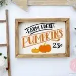15 Fall Pumpkin DIY Ideas from PoofyCheeks.com