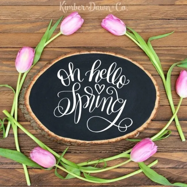 15 Free Spring Cut Files for Silhouette or Cricut from Poofycheeks.com