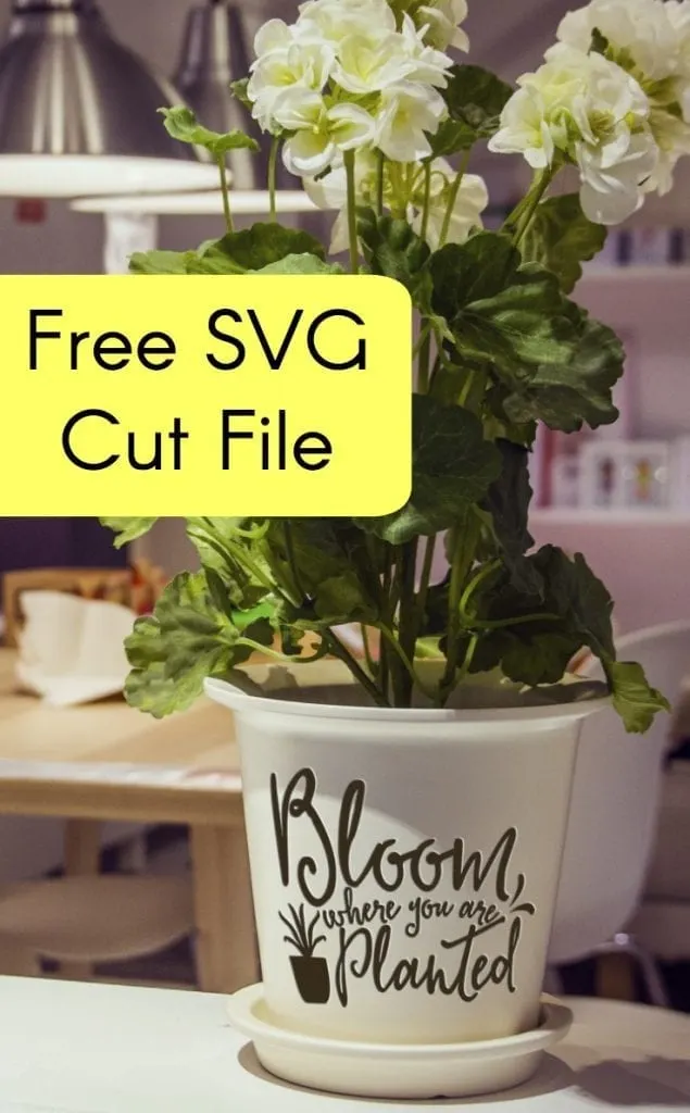 15 Free Spring Cut Files for Silhouette or Cricut from Poofycheeks.com