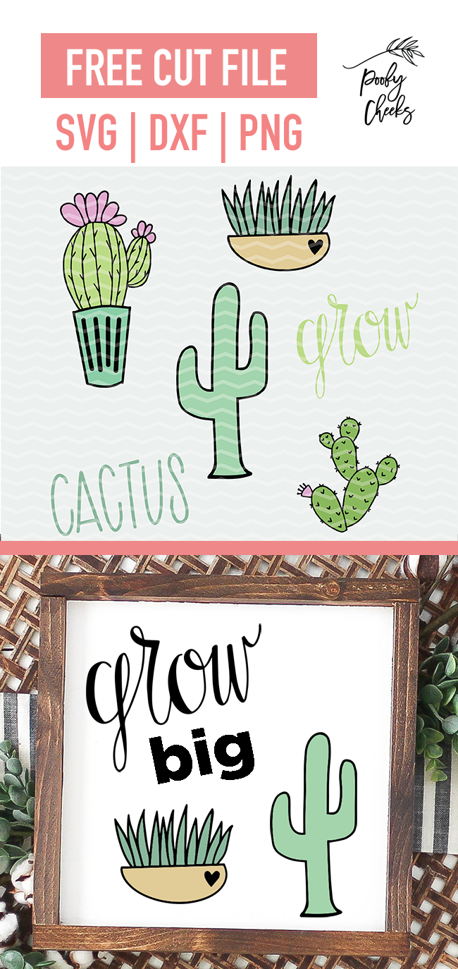 Cactus Cut File