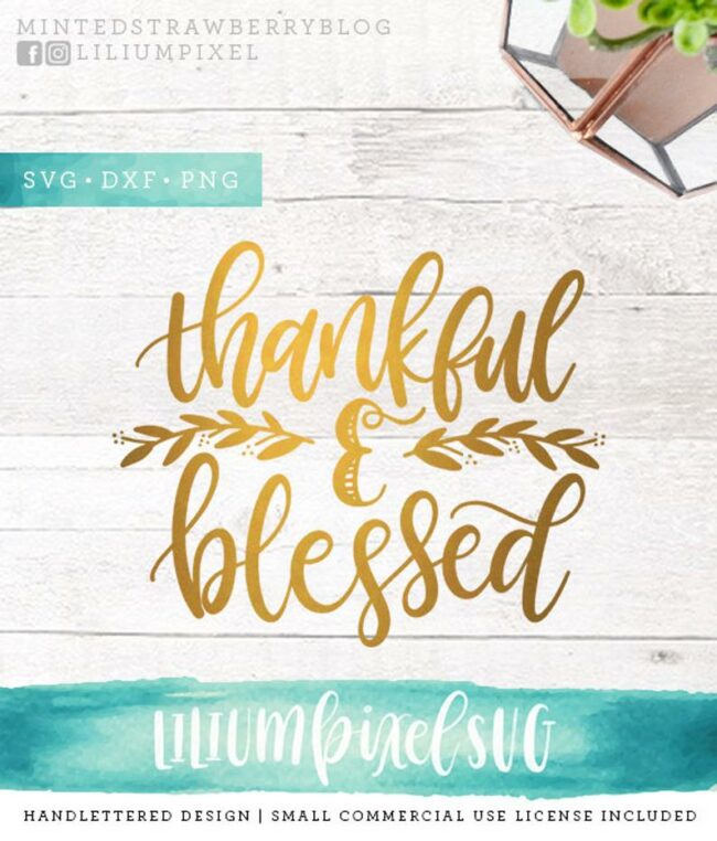 15 Thanksgiving Cut Files from around the web. Use with Cricut and/or Silhouette machines.