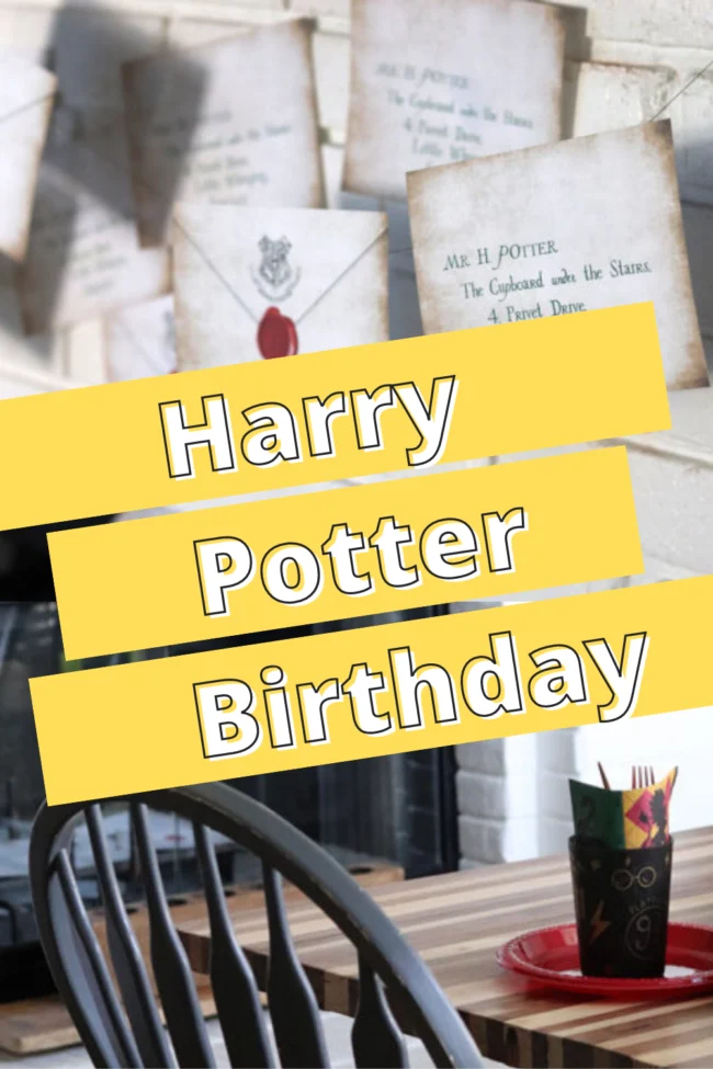 Harry Potter Birthday Party - Poofy Cheeks